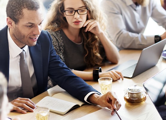 Integrated Human Capital - DIVERSA